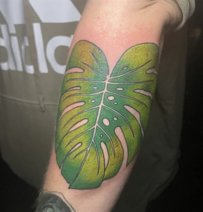Monstera leaf in green